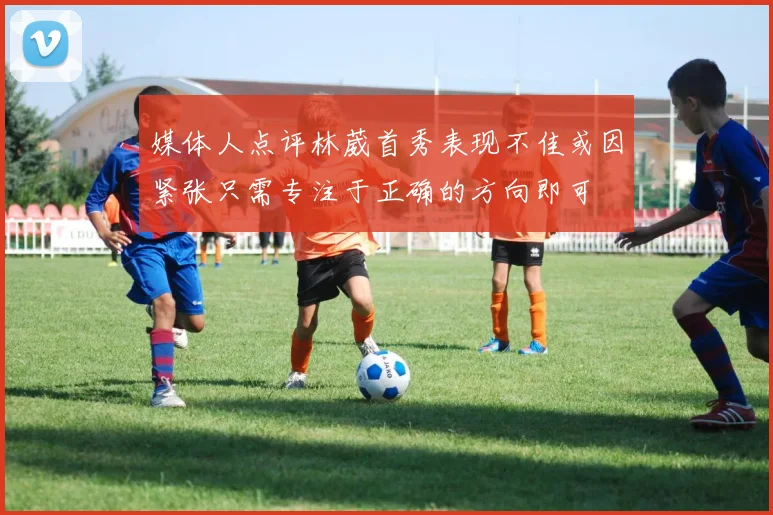 媒体人点评林葳首秀表现不佳或因紧张只需专注于正确的方向即可