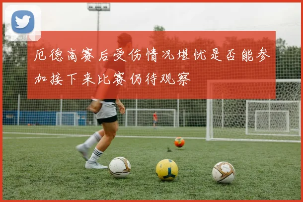 厄德高赛后受伤情况堪忧是否能参加接下来比赛仍待观察
