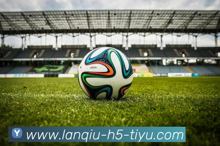 App Interface Preview