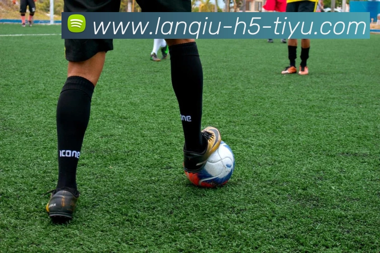 篮球赌注APP 封面图